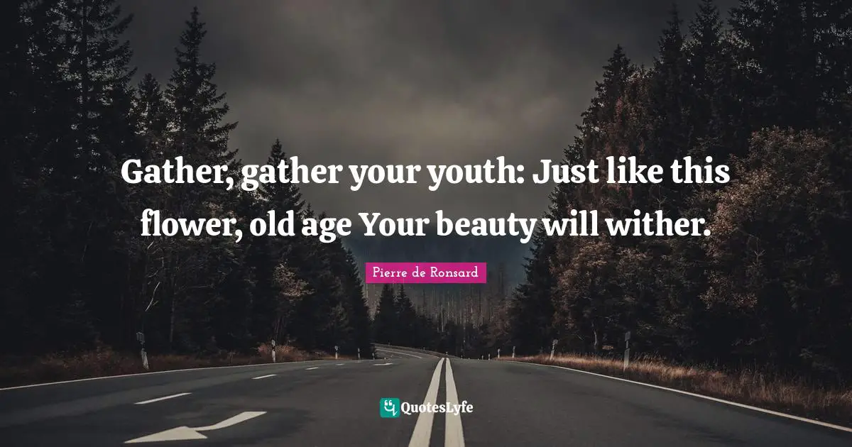 Gather, gather your youth: Just like this flower, old age Your beauty will wither.