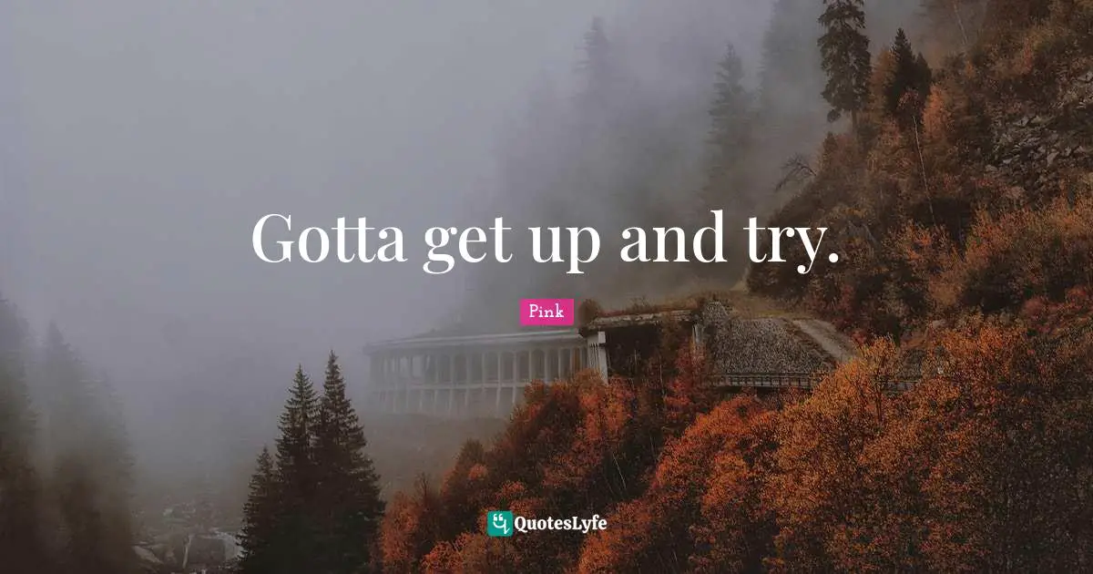 Gotta get up and try.