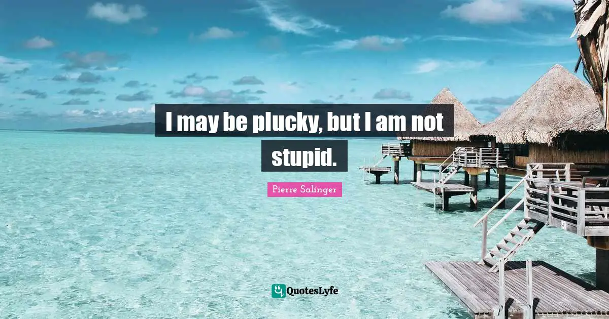 Pierre Salinger Quotes: "I may be plucky, but I am not stupid."