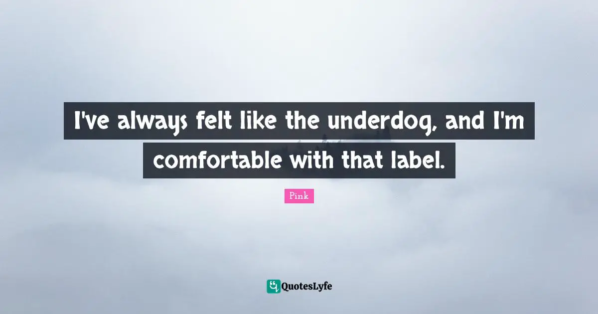 I've always felt like the underdog, and I'm comfortable with that label.