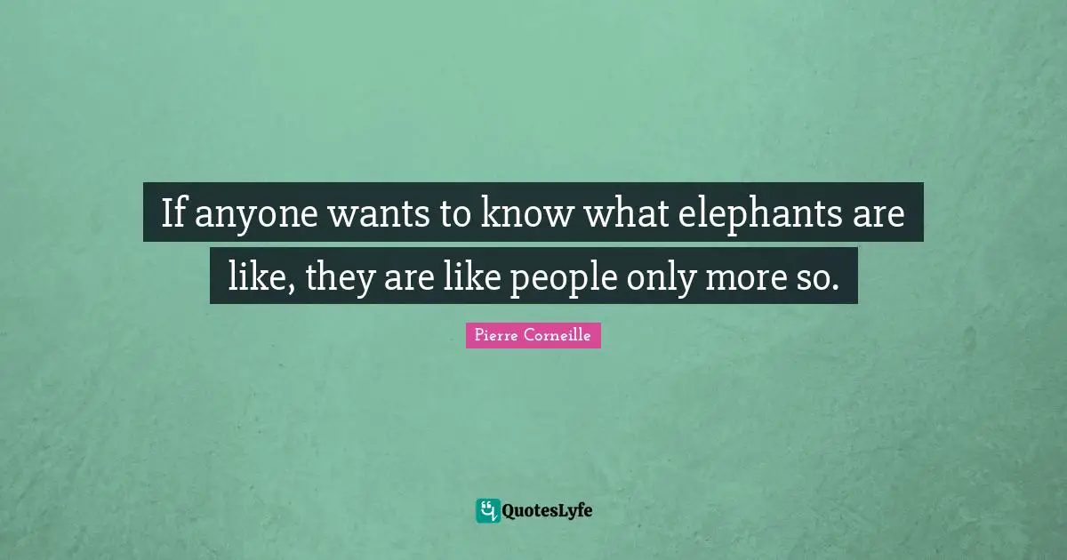 If anyone wants to know what elephants are like, they are like people only more so.