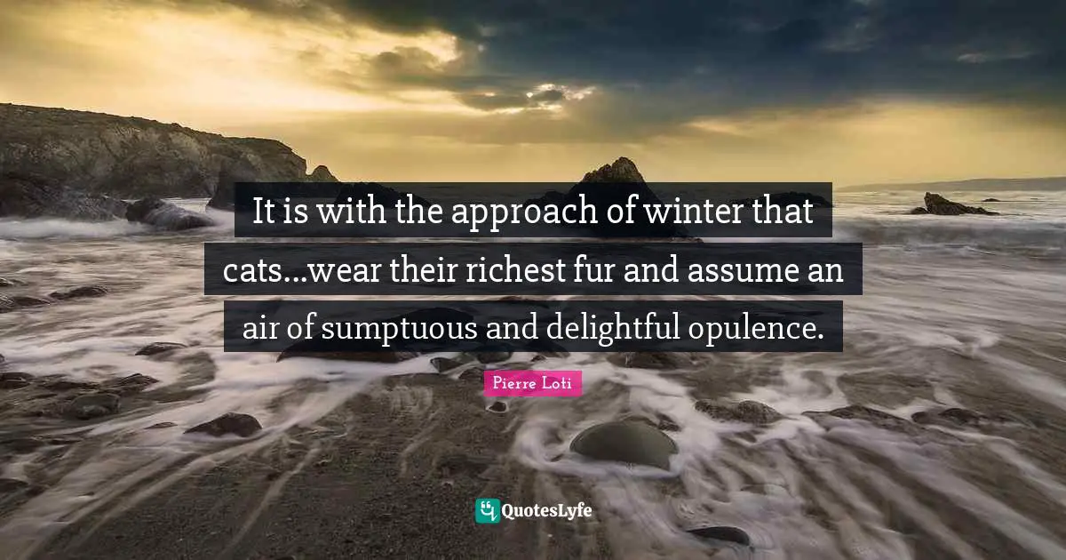 It is with the approach of winter that cats...wear their richest fur and assume an air of sumptuous and delightful opulence.
