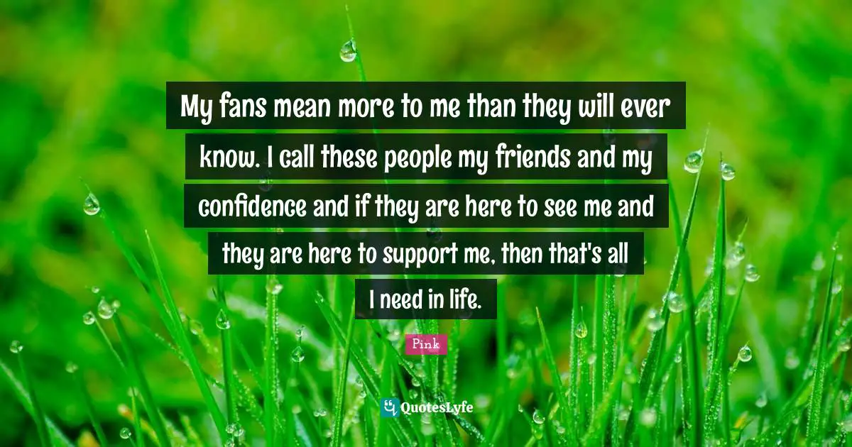 Life Support Quotes: "My fans mean more to me than they will ever know. I call these people my friends and my confidence and if they are here to see me and they are here to support me, then that's all I need in life."