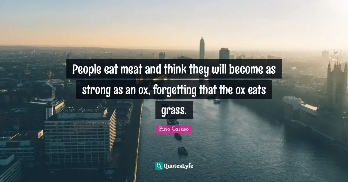 People eat meat and think they will become as strong as an ox, forgetting that the ox eats grass.