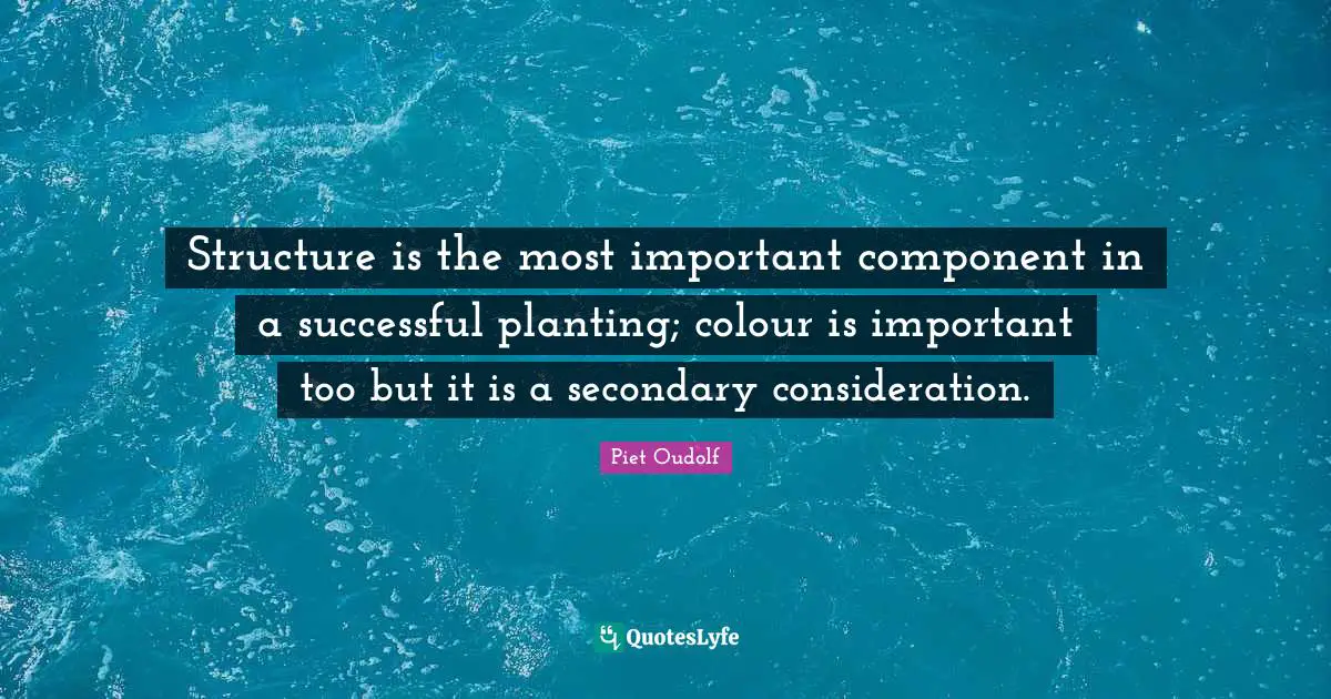 Structure is the most important component in a successful planting; colour is important too but it is a secondary consideration.