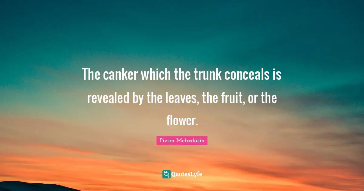 Pietro Metastasio Quotes: "The canker which the trunk conceals is revealed by the leaves, the fruit, or the flower."
