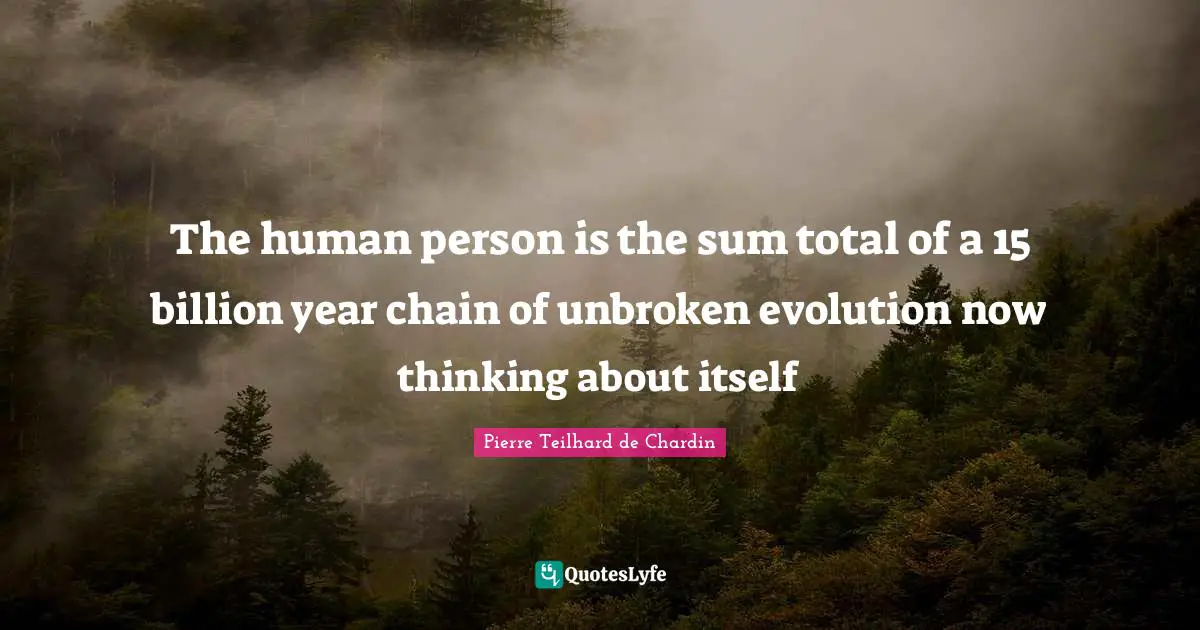 The human person is the sum total of a 15 billion year chain of unbroken evolution now thinking about itself