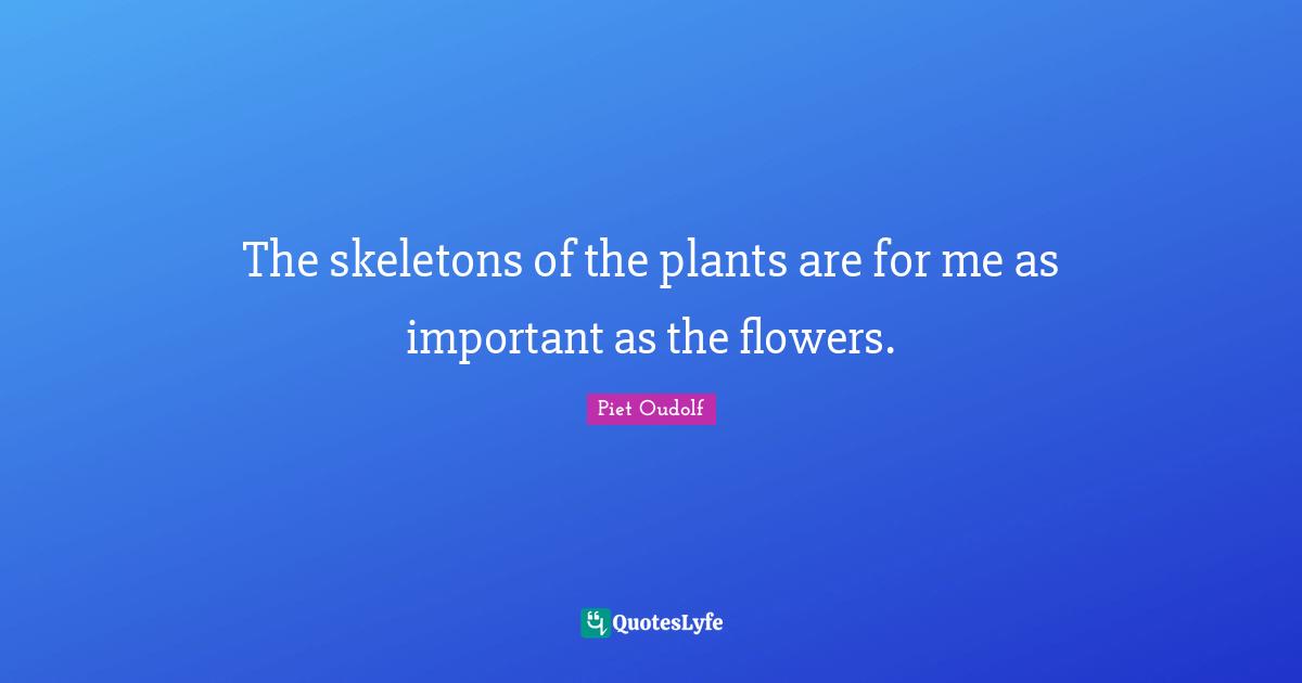 Skeletons Quotes: "The skeletons of the plants are for me as important as the flowers."