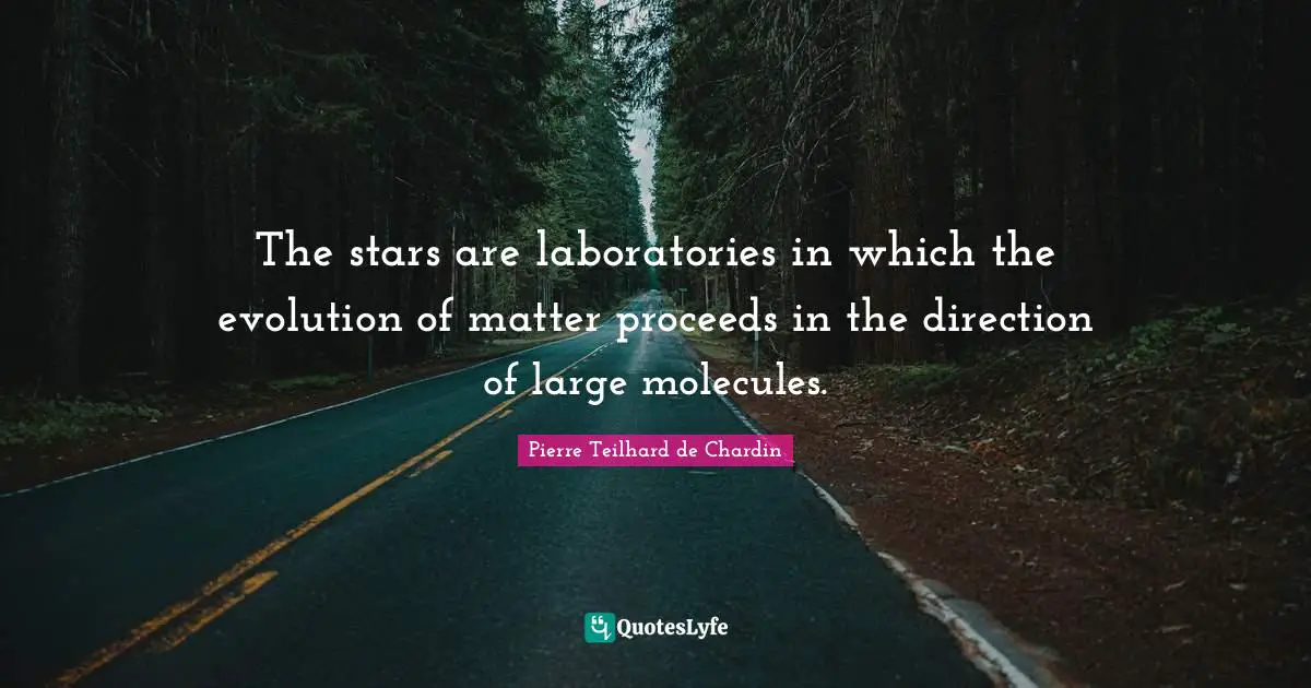 The stars are laboratories in which the evolution of matter proceeds in the direction of large molecules.
