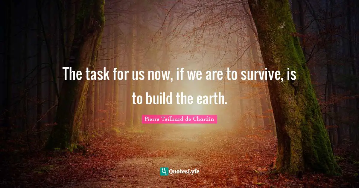 The task for us now, if we are to survive, is to build the earth.