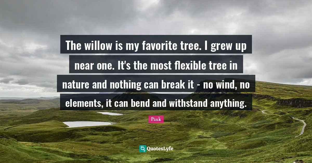 The willow is my favorite tree. I grew up near one. It's the most flexible tree in nature and nothing can break it - no wind, no elements, it can bend and withstand anything.