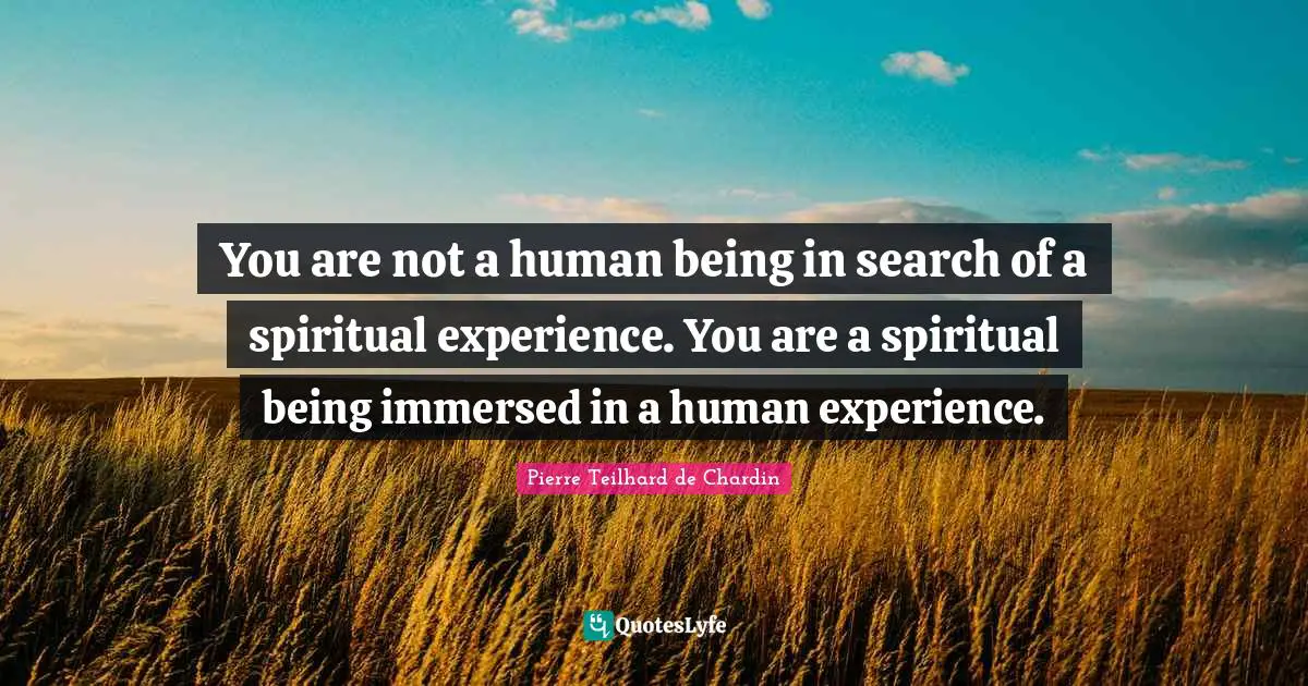 You are not a human being in search of a spiritual experience. You are a spiritual being immersed in a human experience.