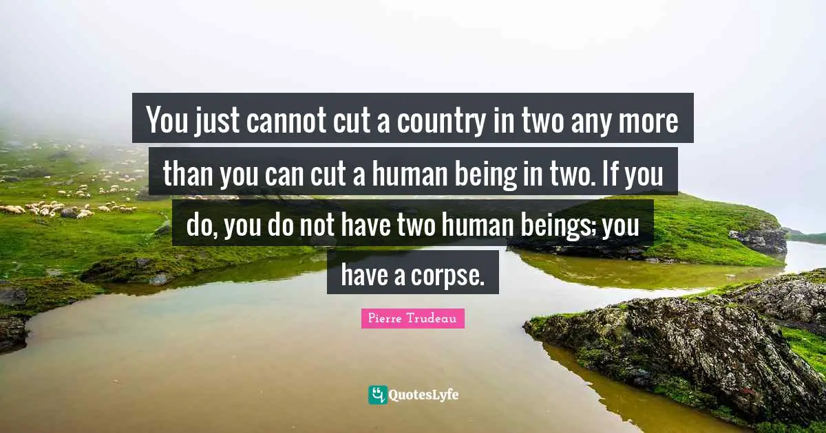 Human Beings Quotes: "You just cannot cut a country in two any more than you can cut a human being in two. If you do, you do not have two human beings; you have a corpse."
