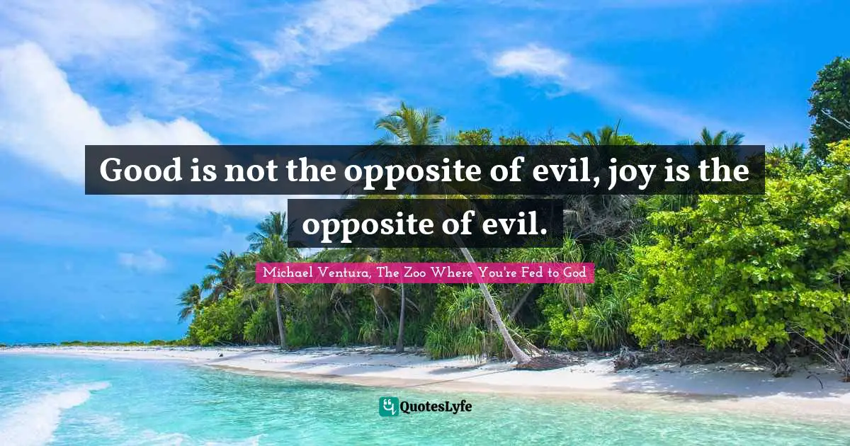 Good is not the opposite of evil, joy is the opposite of evil.