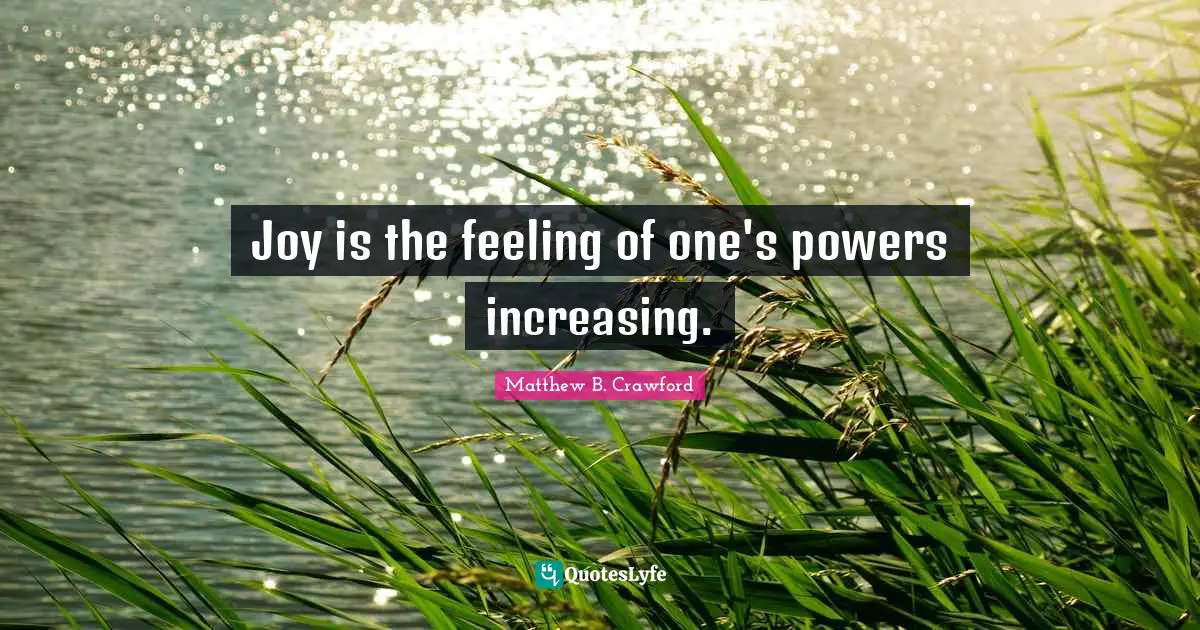Joy is the feeling of one's powers increasing.