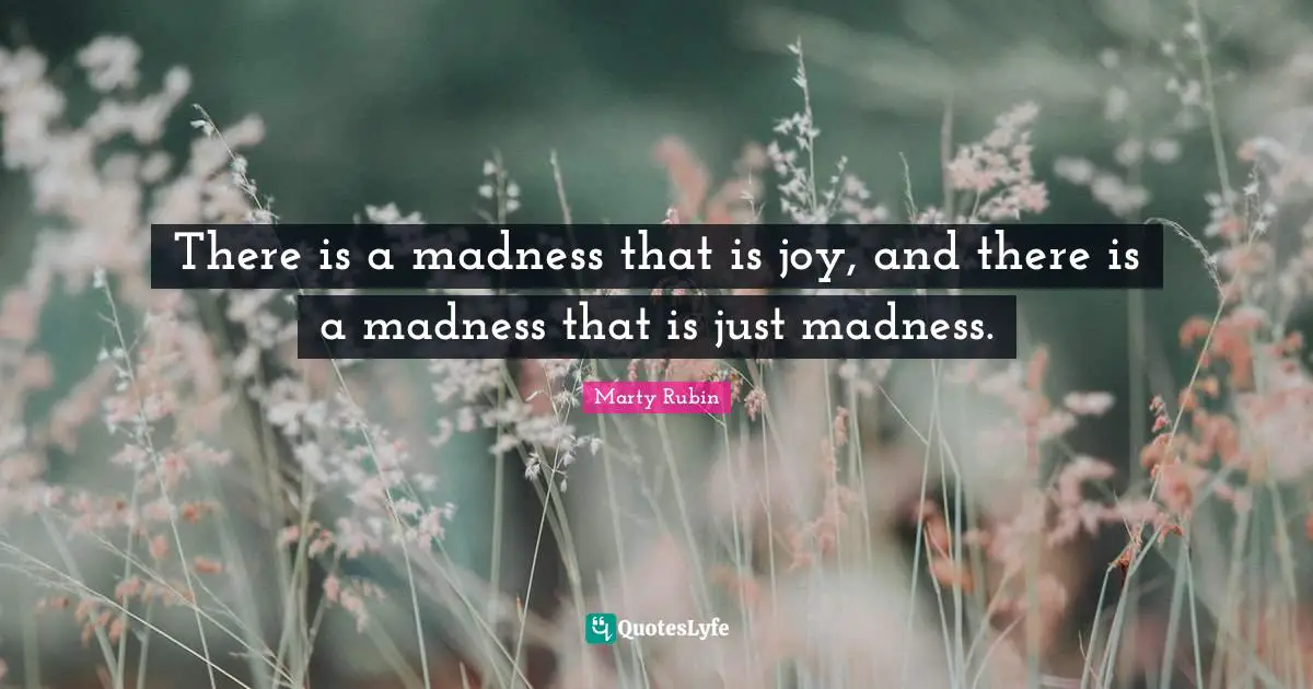 There is a madness that is joy, and there is a madness that is just madness.