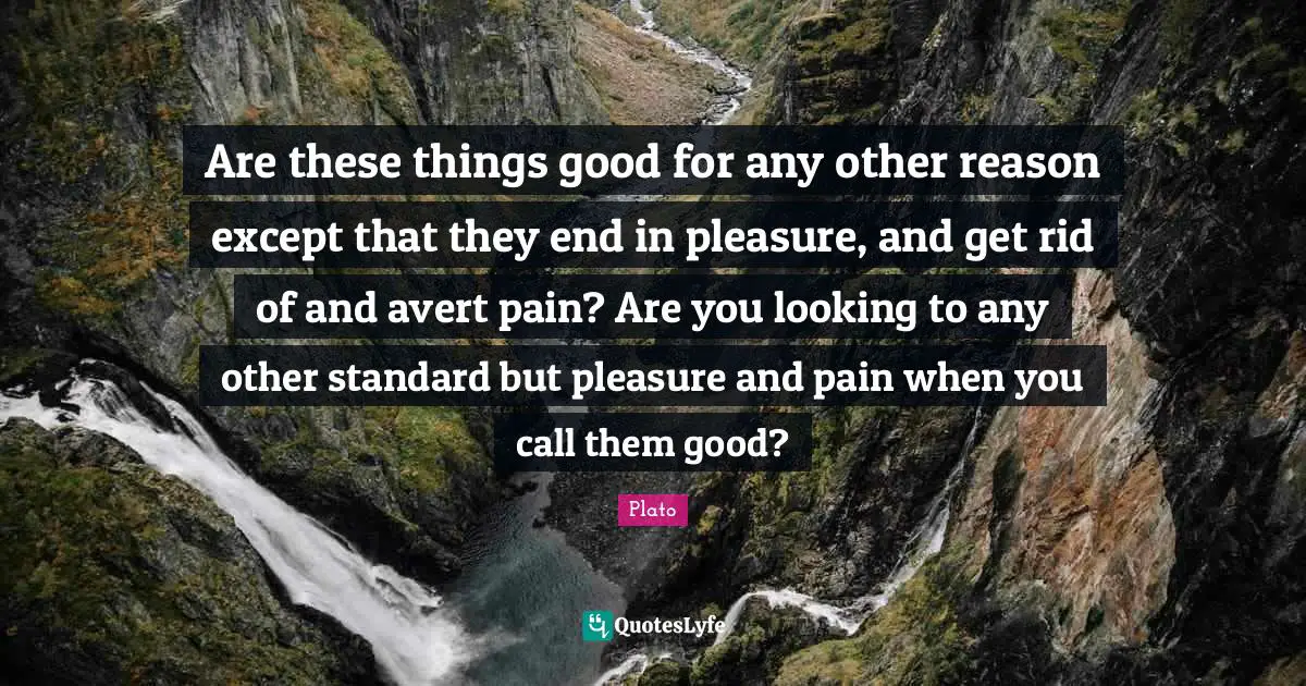 Are these things good for any other reason except that they end in pleasure, and get rid of and avert pain? Are you looking to any other standard but pleasure and pain when you call them good?