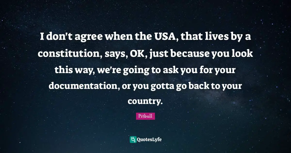 Pitbull Quotes: "I don't agree when the USA, that lives by a constitution, says, OK, just because you look this way, we're going to ask you for your documentation, or you gotta go back to your country."