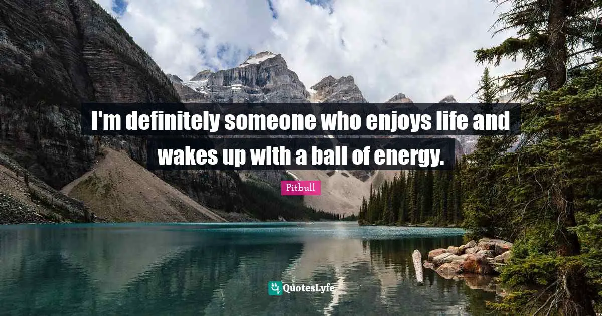 Pitbull Quotes: "I'm definitely someone who enjoys life and wakes up with a ball of energy."