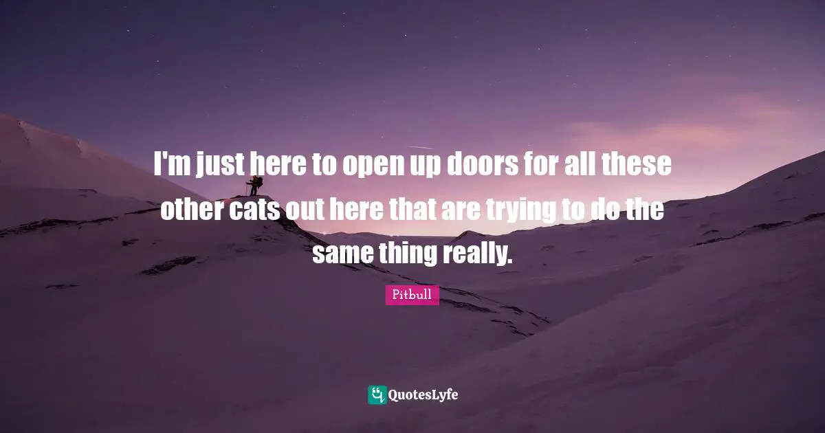 Pitbull Quotes: "I'm just here to open up doors for all these other cats out here that are trying to do the same thing really."