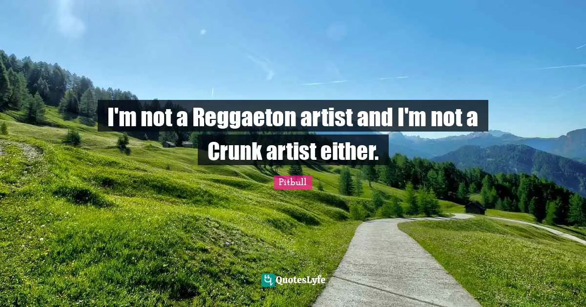 Pitbull Quotes: "I'm not a Reggaeton artist and I'm not a Crunk artist either."