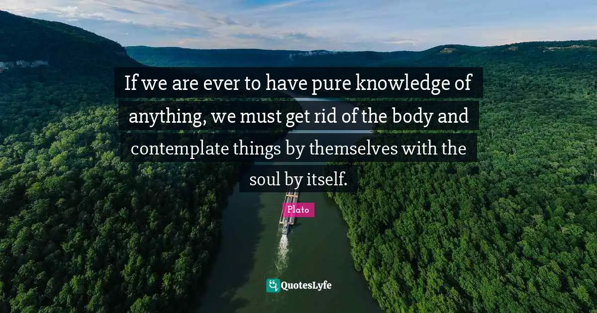 If we are ever to have pure knowledge of anything, we must get rid of the body and contemplate things by themselves with the soul by itself.