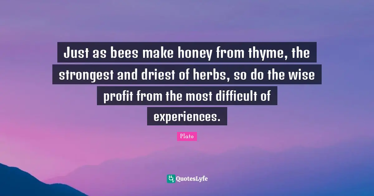 Profit Quotes: "Just as bees make honey from thyme, the strongest and driest of herbs, so do the wise profit from the most difficult of experiences."
