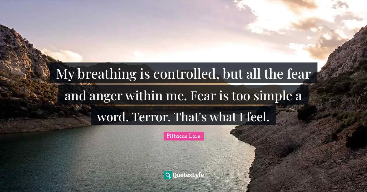 My breathing is controlled, but all the fear and anger within me. Fear is too simple a word. Terror. That's what I feel.