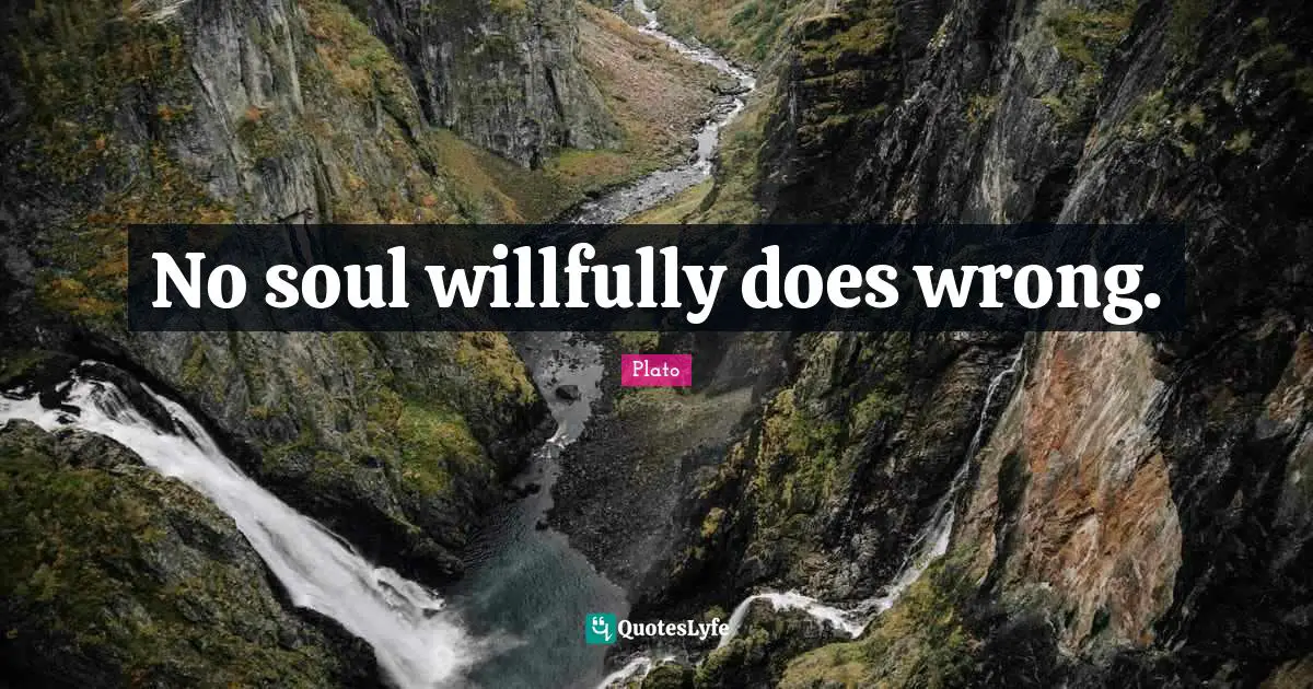 No soul willfully does wrong.