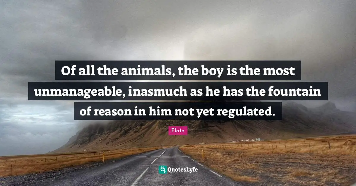Of all the animals, the boy is the most unmanageable, inasmuch as he has the fountain of reason in him not yet regulated.