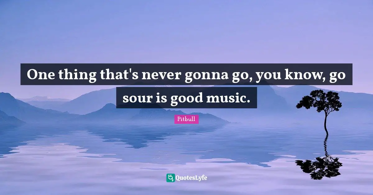 Pitbull Quotes: "One thing that's never gonna go, you know, go sour is good music."