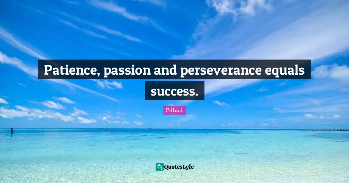 Patience, passion and perseverance equals success.