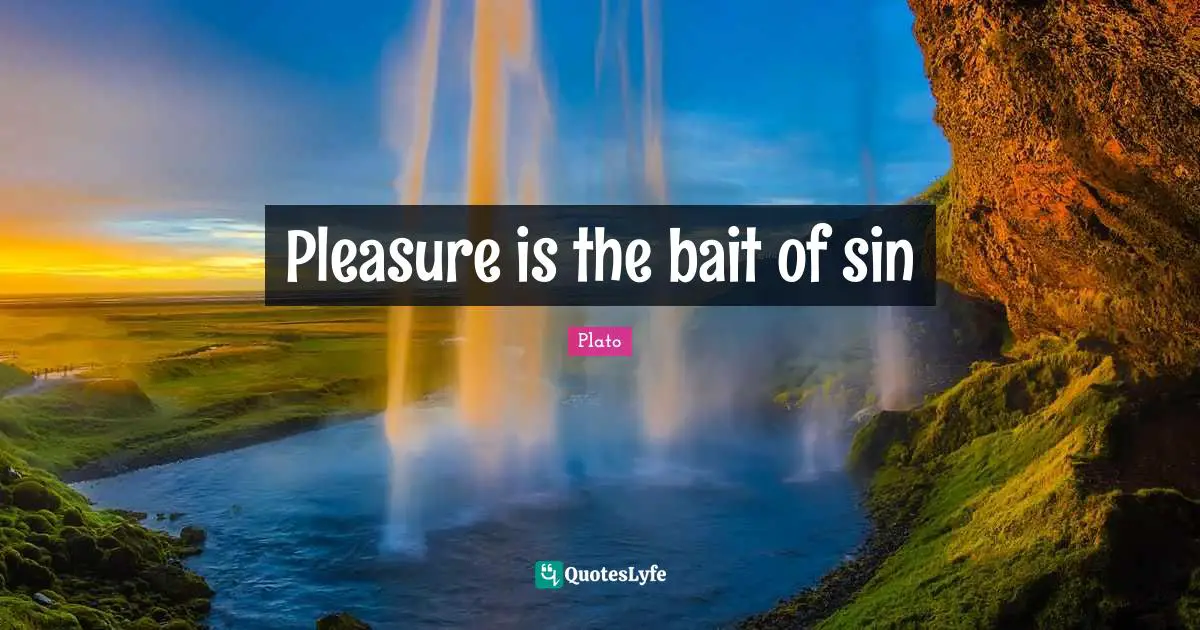 Pleasure is the bait of sin