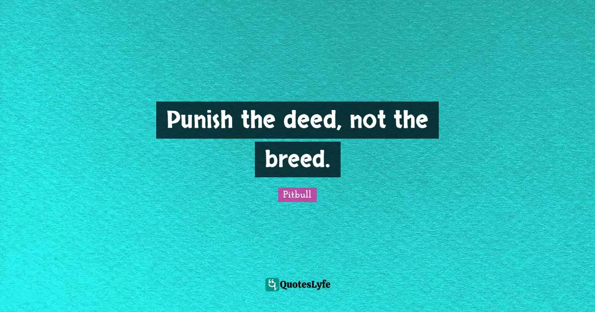 Pitbull Quotes: "Punish the deed, not the breed."