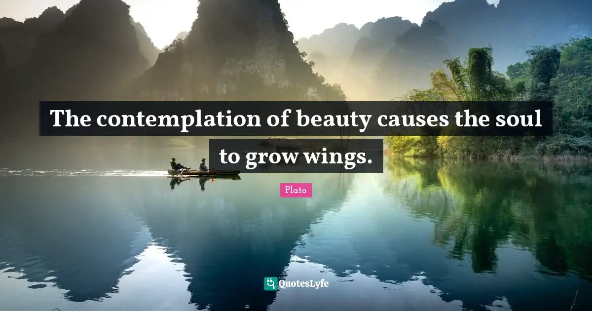 The contemplation of beauty causes the soul to grow wings.