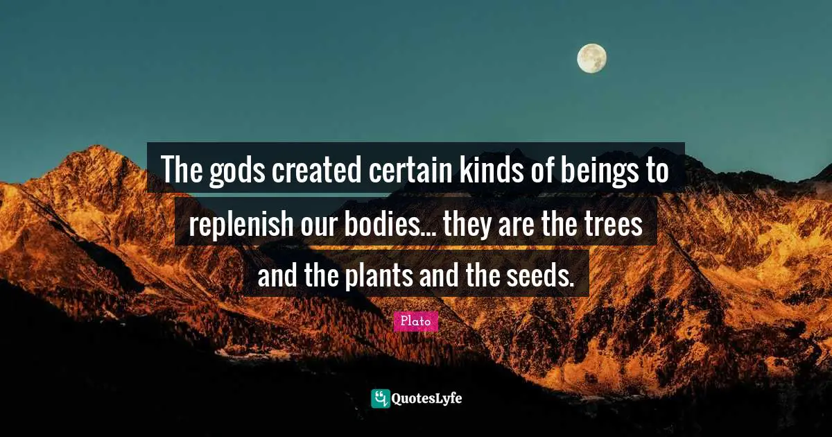 Seeds Quotes: "The gods created certain kinds of beings to replenish our bodies... they are the trees and the plants and the seeds."