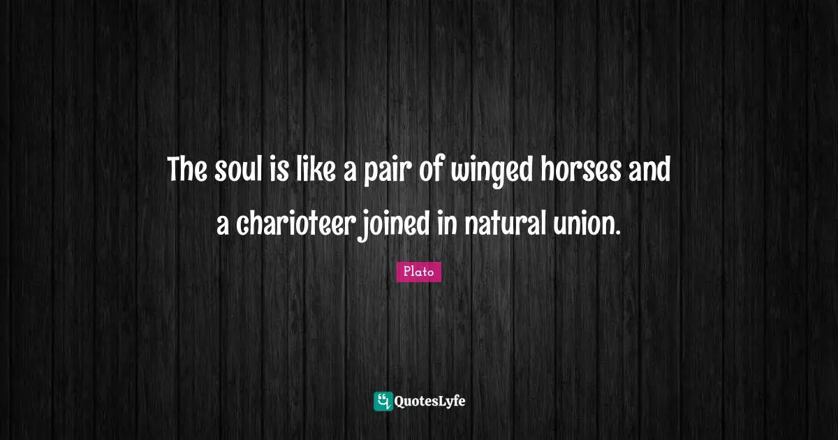 The soul is like a pair of winged horses and a charioteer joined in natural union.