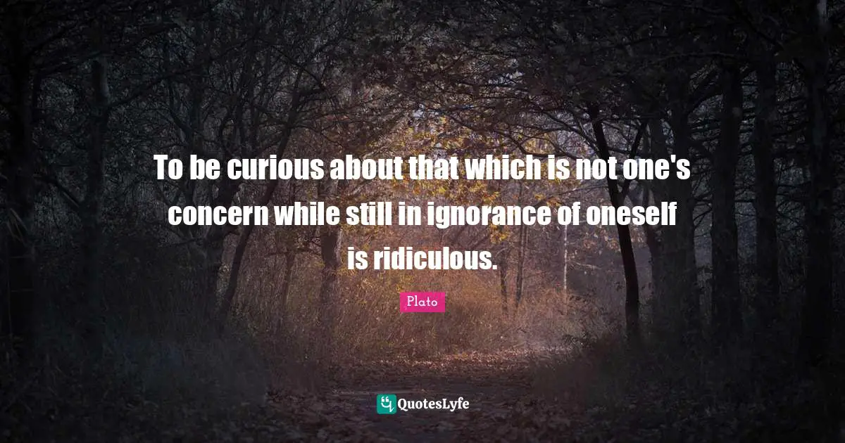 To be curious about that which is not one's concern while still in ignorance of oneself is ridiculous.