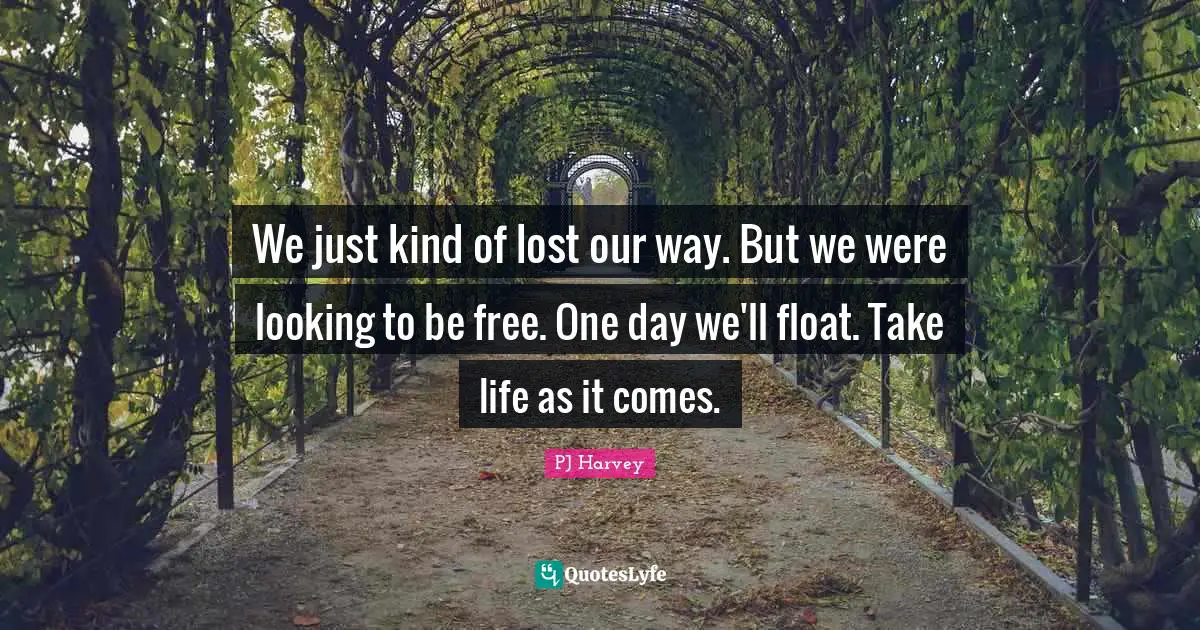 We just kind of lost our way. But we were looking to be free. One day we'll float. Take life as it comes.