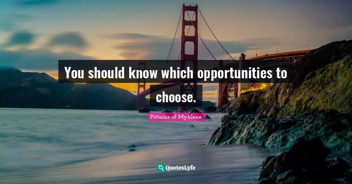 You should know which opportunities to choose.