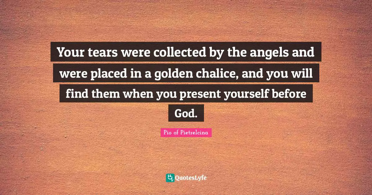 Your tears were collected by the angels and were placed in a golden chalice, and you will find them when you present yourself before God.