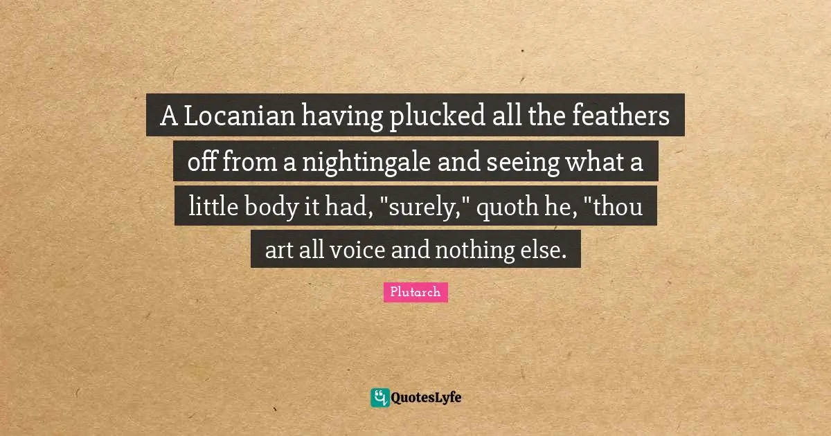 A Locanian having plucked all the feathers off from a nightingale and seeing what a little body it had, "surely," quoth he, "thou art all voice and nothing else.