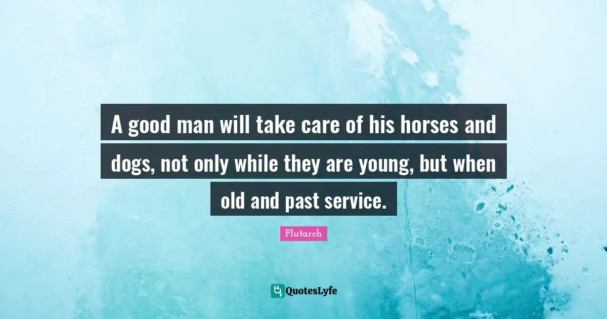 A good man will take care of his horses and dogs, not only while they are young, but when old and past service.