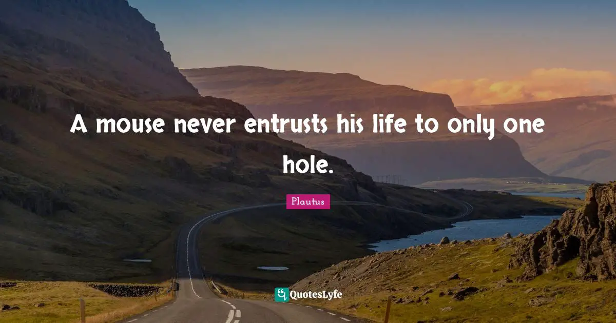 A mouse never entrusts his life to only one hole.
