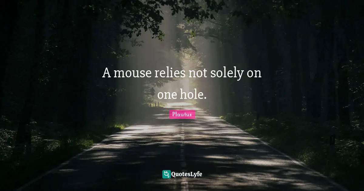 A mouse relies not solely on one hole.