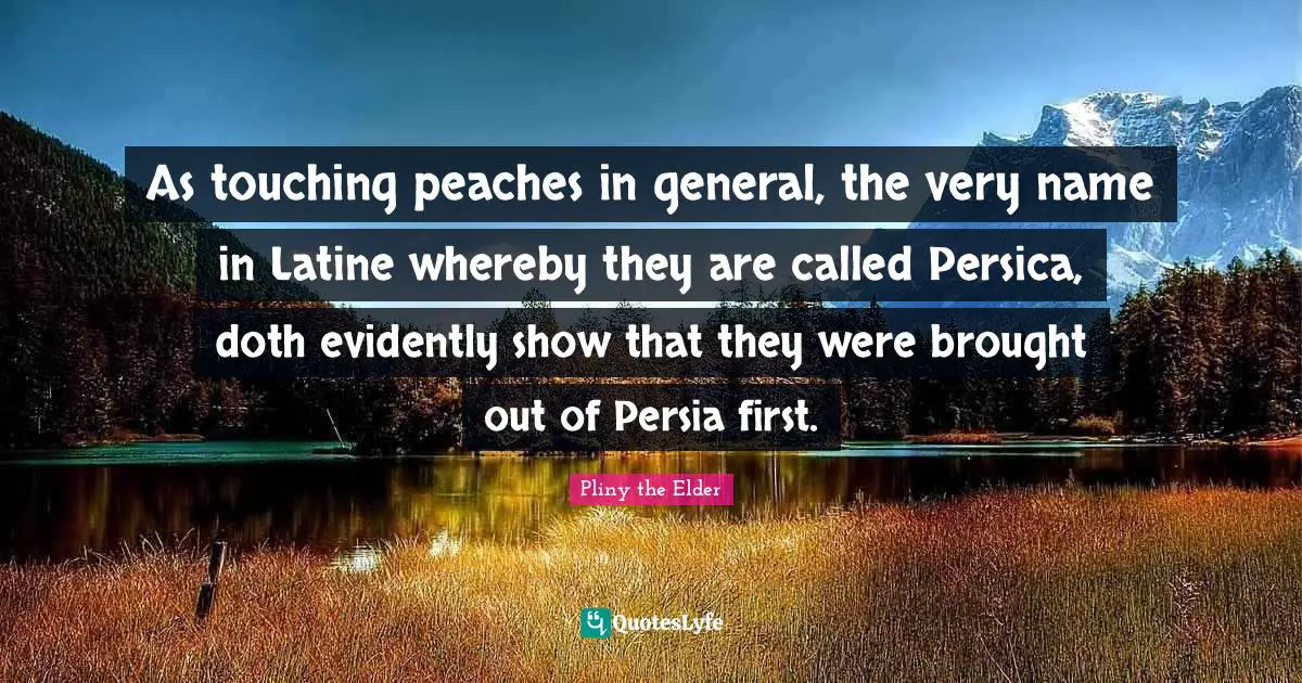 As touching peaches in general, the very name in Latine whereby they are called Persica, doth evidently show that they were brought out of Persia first.