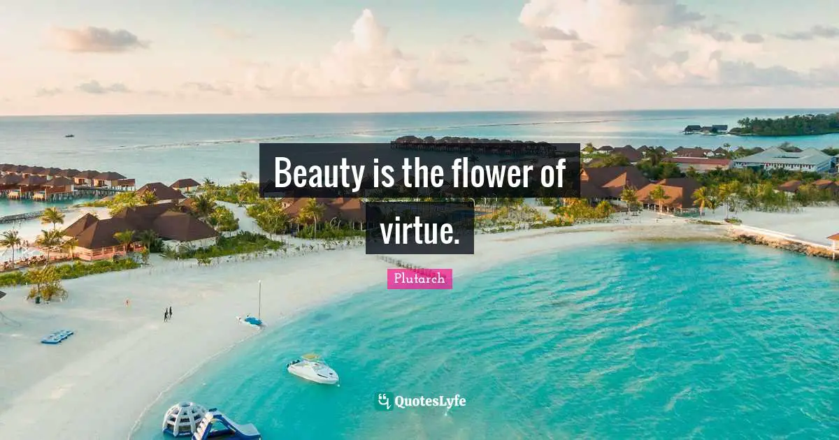 Beauty is the flower of virtue.