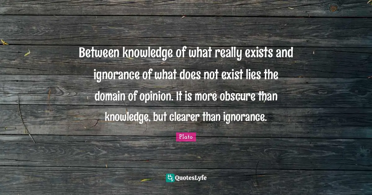 Between knowledge of what really exists and ignorance of what does not exist lies the domain of opinion. It is more obscure than knowledge, but clearer than ignorance.