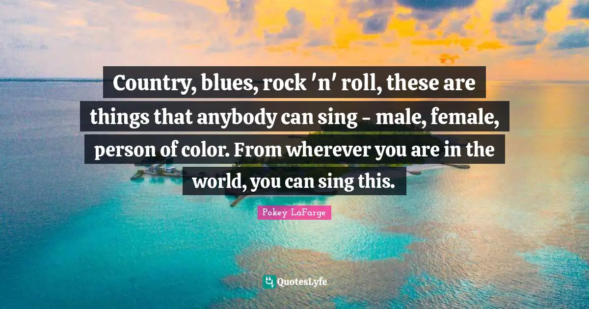 Country, blues, rock 'n' roll, these are things that anybody can sing - male, female, person of color. From wherever you are in the world, you can sing this.