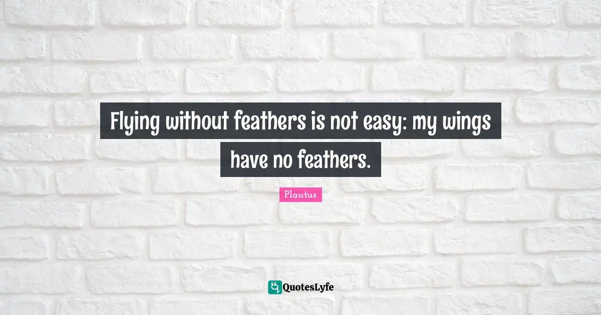 Feathers Quotes: "Flying without feathers is not easy: my wings have no feathers."